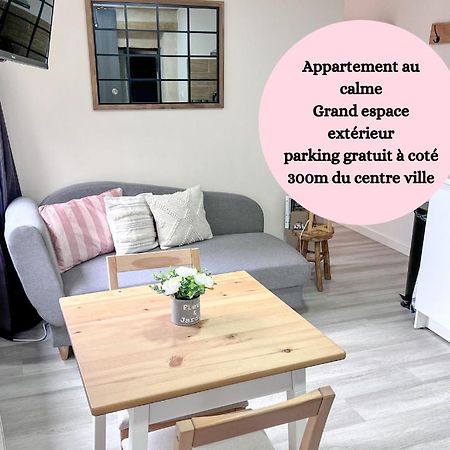 Le Badebec, Appt Dans Maison Typique Avec Jardin Prive Chinon Exterior foto