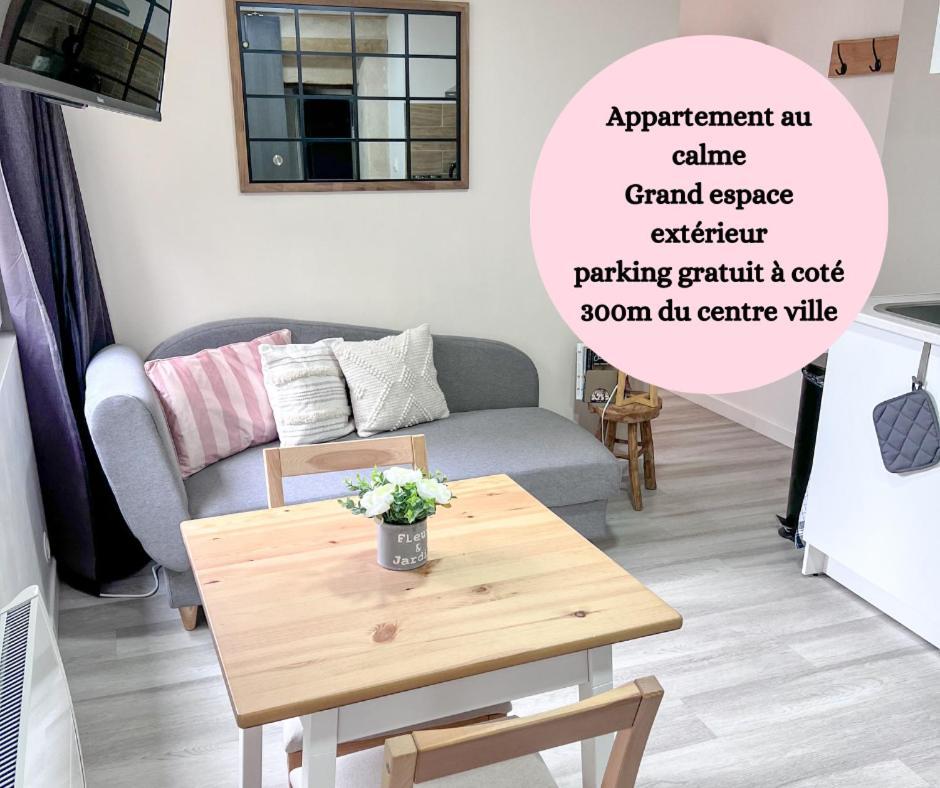 Le Badebec, Appt Dans Maison Typique Avec Jardin Prive Chinon Exterior foto